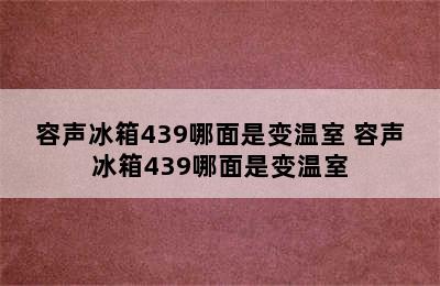 容声冰箱439哪面是变温室 容声冰箱439哪面是变温室